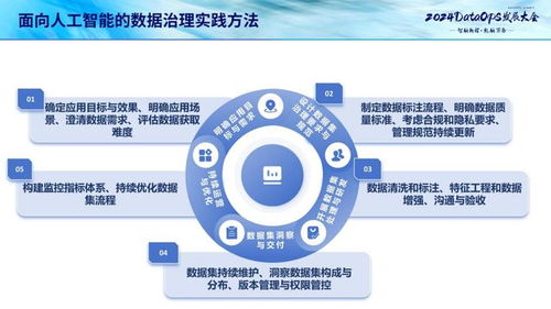 《面向人工智能的数据治理的实践指南 1.0》解读 数据处理服务的现实路径